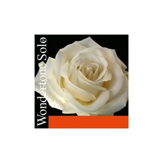Cuerda violín Pirastro Wondertone Solo 410221 2ª La shynt/aluminio Medium 4/4